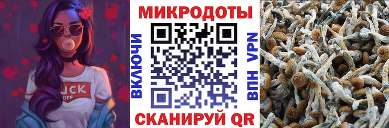 Псилоцибиновые грибы GOLDEN TEACHER  что такое   Каменск-Шахтинский 