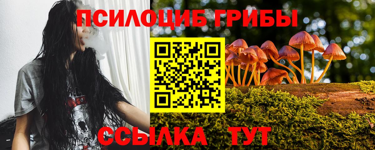 Псилоцибиновые грибы мицелий Каменск-Шахтинский