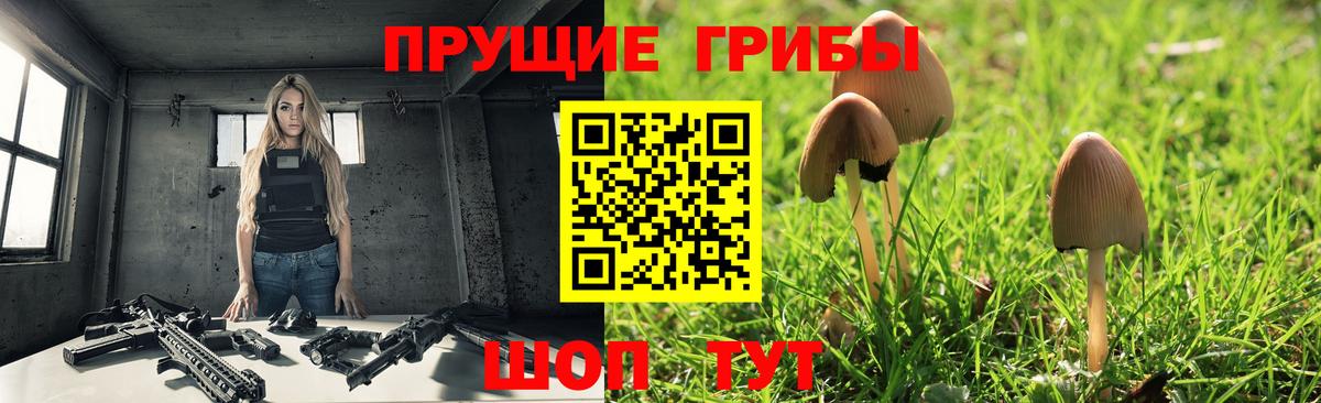 Каменск-Шахтинский  Псилоцибиновые грибы MAGIC MUSHROOMS  Вход с VPN  Псилоцибиновые грибы MAGIC MUSHROOMS 